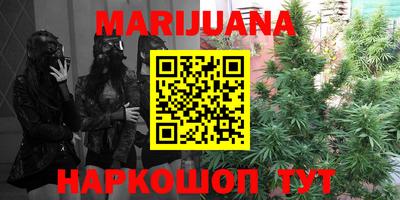 трава Партизанск